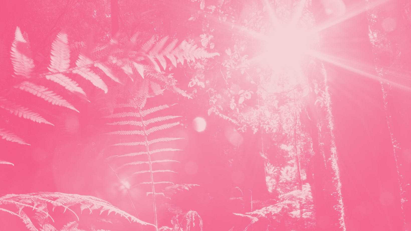 Background Header Image